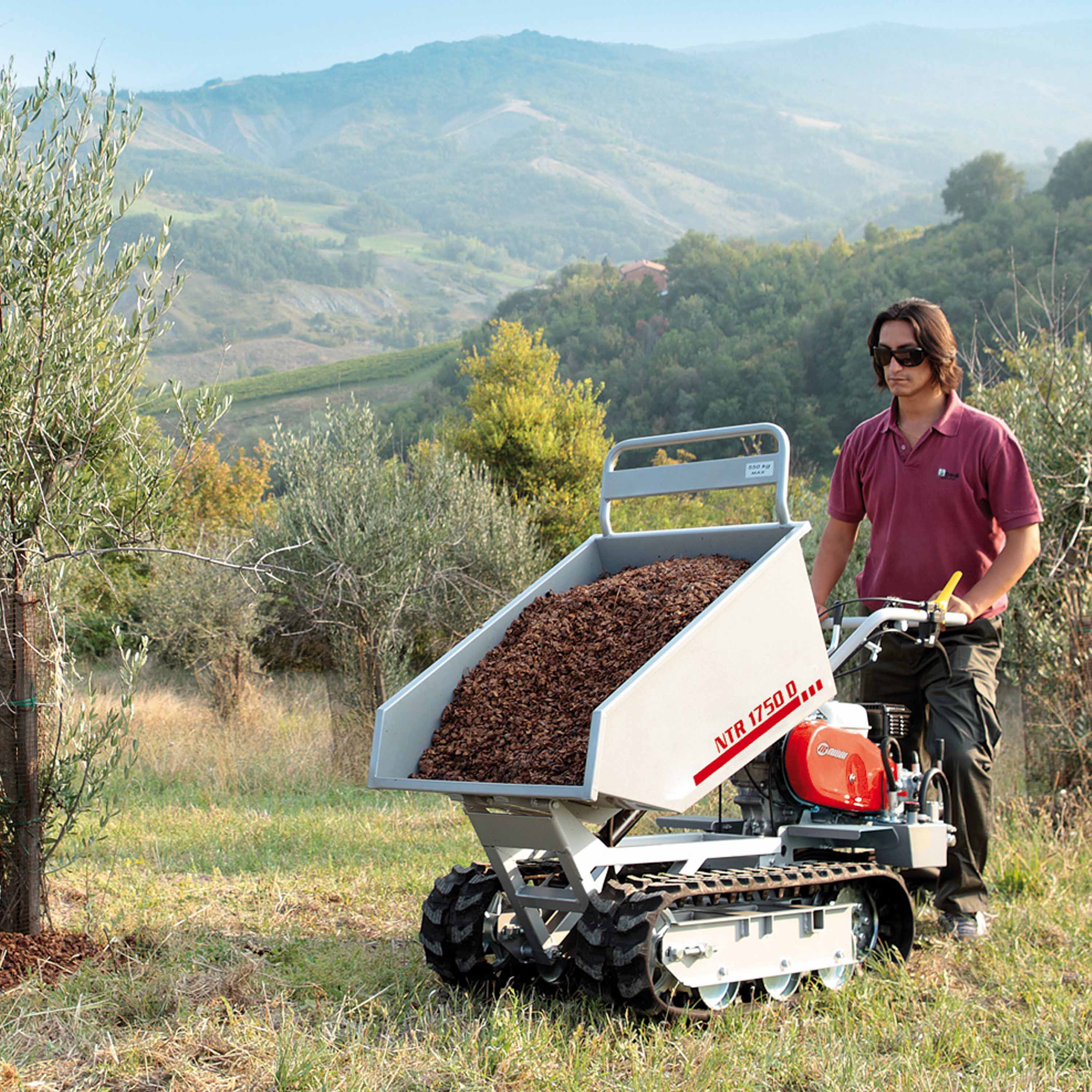 oleo-mac-ntr-1750-d-transporteur-chenilles-benne-dumper-550-kg image 4